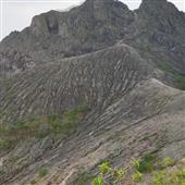 Trá