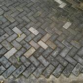 Chơ