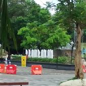 Dự 