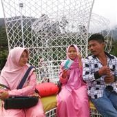 Aps