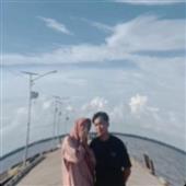 Bầy