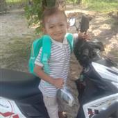 Giả