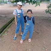 Giả