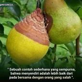 Thầ