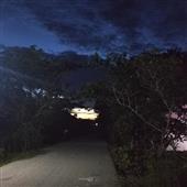 Cuộ
