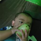 Giả
