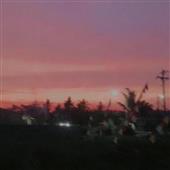 Dự 