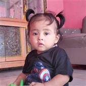 Giả