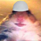 Báo
