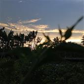 Thế