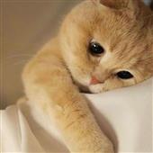 Thủ