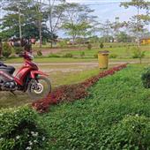 Gấp