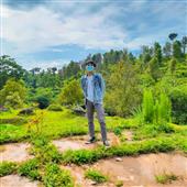 Sấm