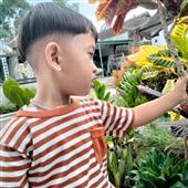 Bản