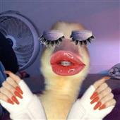 Kèo