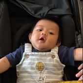 Giả