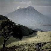 NGŨ