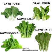 BỮA