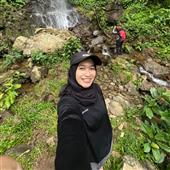 Gậy