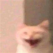 To 