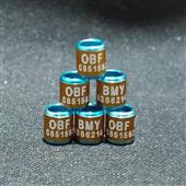 5PK