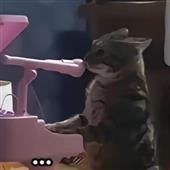 Bes