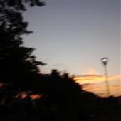 Gấu