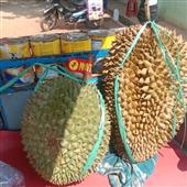 Vạn