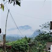 Trò