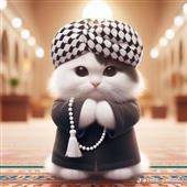 Kèo