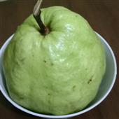 Tỷ 