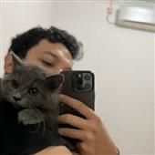 Chi