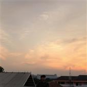 đội