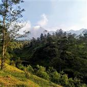 Lịc