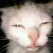 Có 