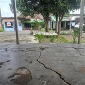 Ngọ