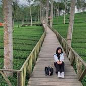 Chợ