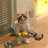Giả