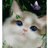 Luậ