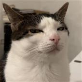 Tìn