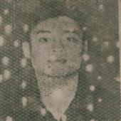 Pli