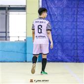 Giả
