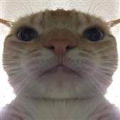 Tim