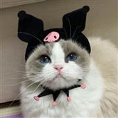 Chu