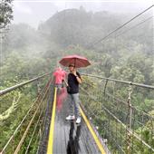 Vệ 