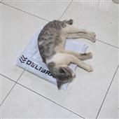 Tin
