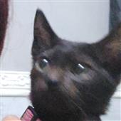 Đêm