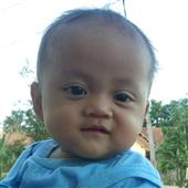 Dự 
