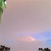 Mật