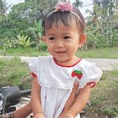 Rắn